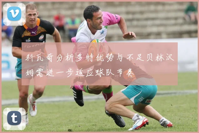 科瓦奇分析多特优势与不足贝林汉姆需进一步适应球队节奏