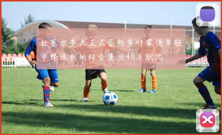 杜塞尔多夫正式签约多特蒙德年轻中锋保利纳转会费为40万欧元
