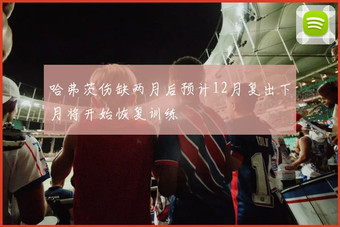 哈弗茨伤缺两月后预计12月复出下月将开始恢复训练